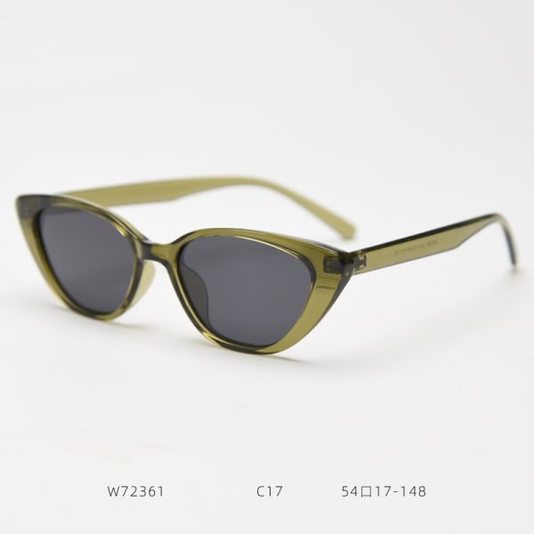 TR Sunglasses W72361 C17