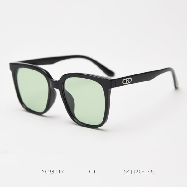 TR Sunglasses YC93017 C9