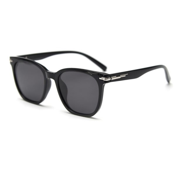 TR Sunglasses YC93018