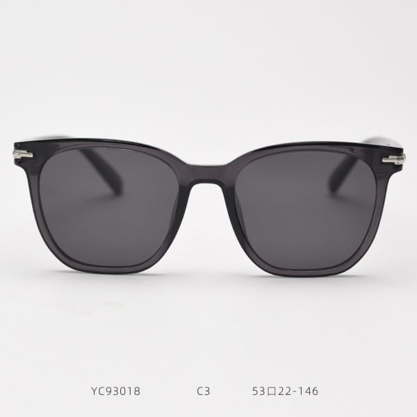 TR Sunglasses YC93018 C3