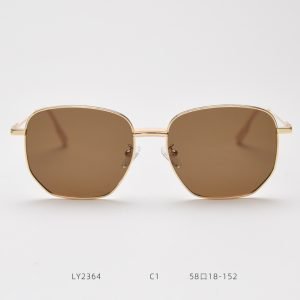 Metal SUNGLASSES LY2364