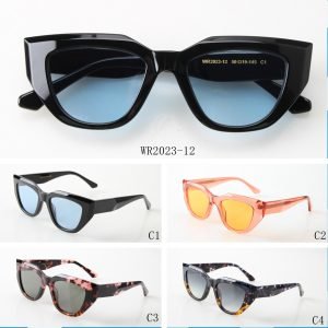 Acetate Sunglasses WR2023-12