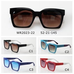 Acetate Sunglasses WR2023-22