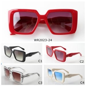 Acetate Sunglasses WR2023-24