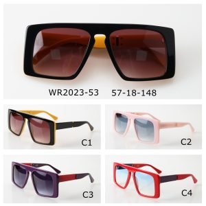 Acetate Sunglasses WR2023-53
