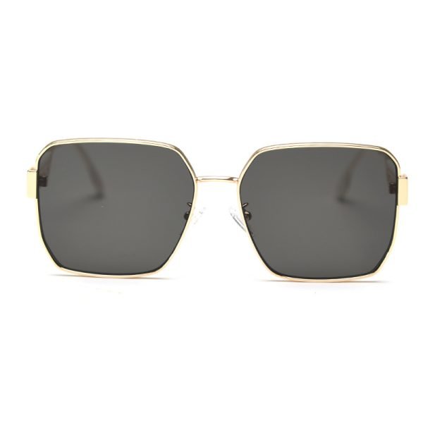 TR SUNGLASSES LY2371
