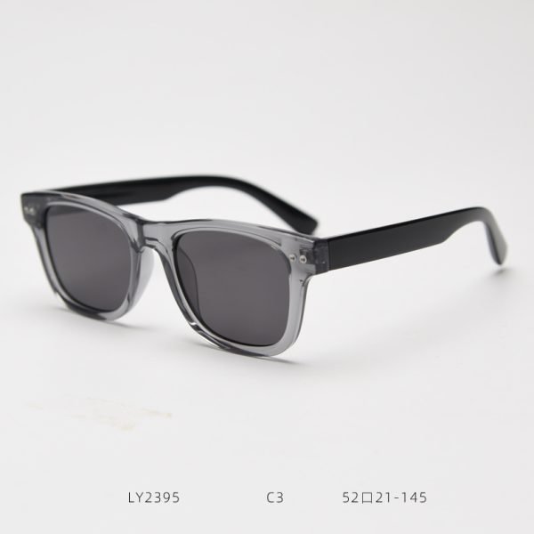 TR SUNGLASSES LY2395 - Image 3