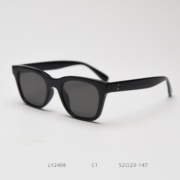 TR SUNGLASSES LY2406 - Image 2