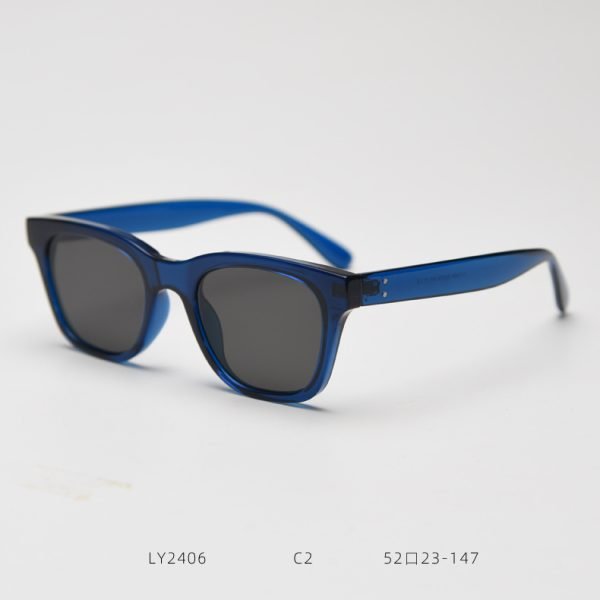 TR SUNGLASSES LY2406 - Image 3