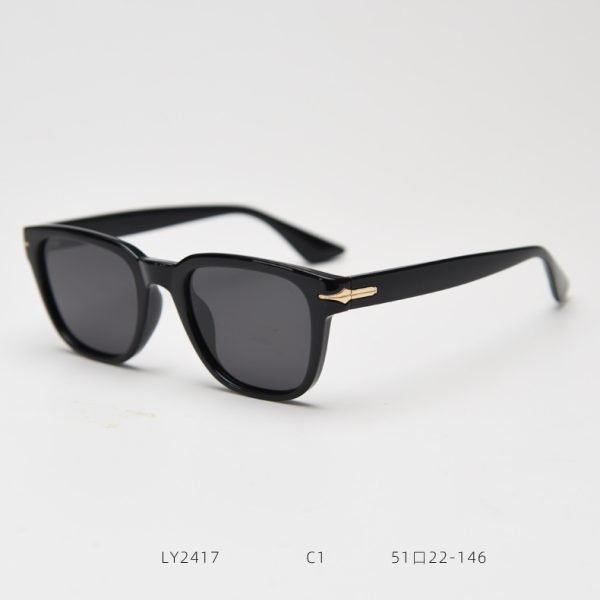 TR SUNGLASSES LY2417 - Image 2