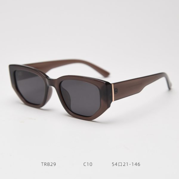 TR SUNGLASSES TR829 - Image 4
