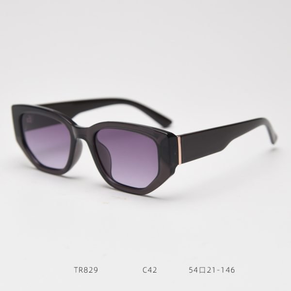 TR SUNGLASSES TR829 - Image 6