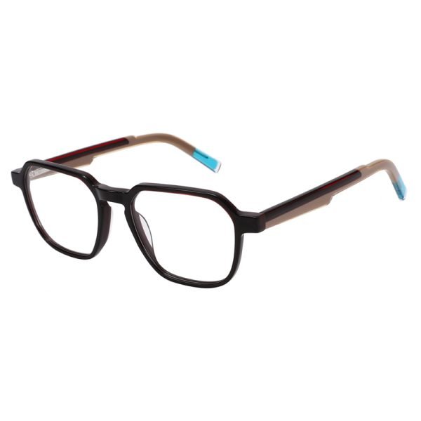 Acetate Optical Frame RGF23001 C1