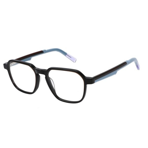 Acetate Optical Frame RGF23001 C2