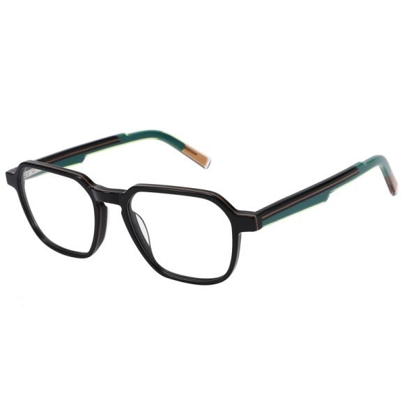 Acetate Optical Frame RGF23001 C3