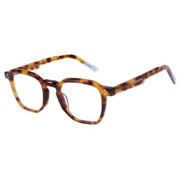 Acetate Optical Frame RGF23002 C1