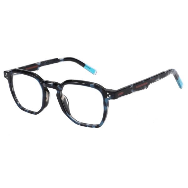 Acetate Optical Frame RGF23002 C3