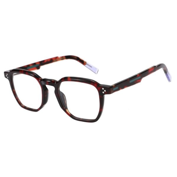 Acetate Optical Frame RGF23002 C4