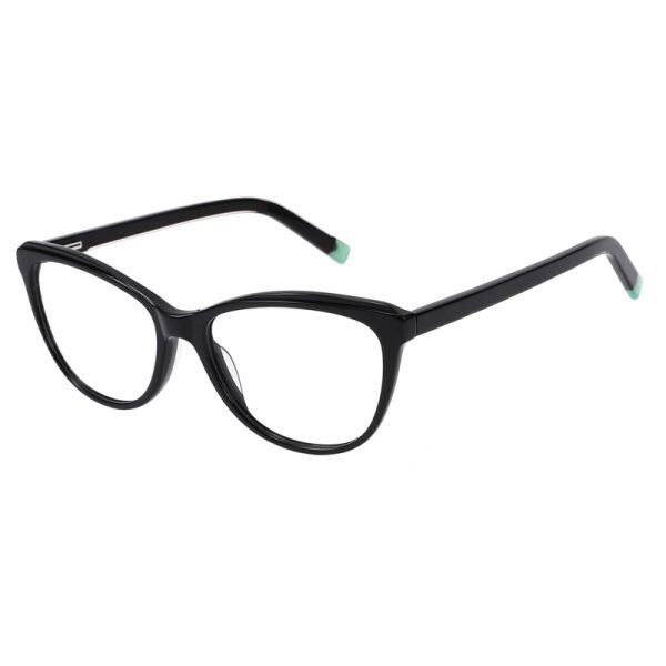 Acetate Optical Frame RGF23010 C1