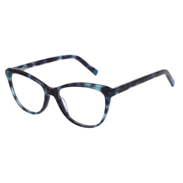 Acetate Optical Frame RGF23010 C2