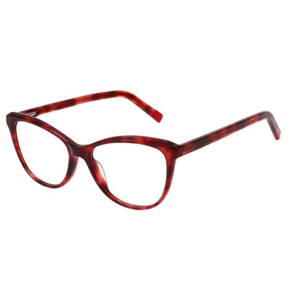 Acetate Optical Frame RGF23010 C3