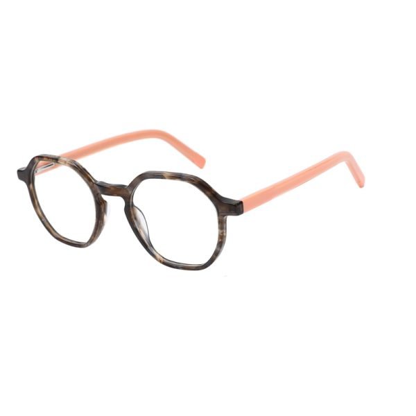 Acetate Optical Frame RGF23011 C4