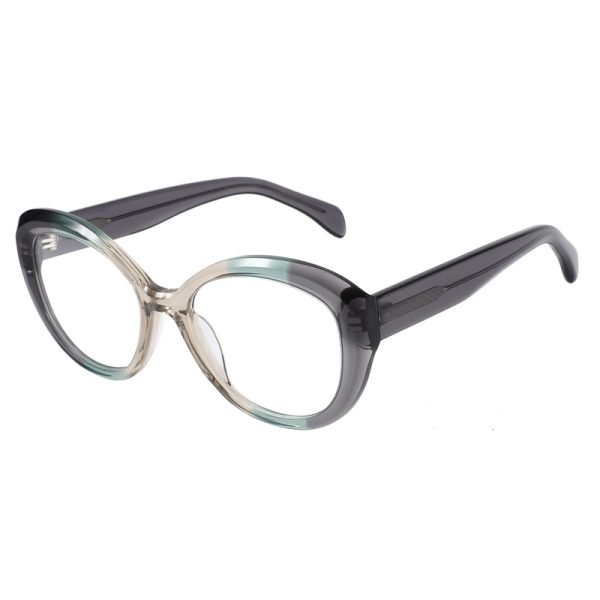 Acetate Optical Frame RGF23012 C1