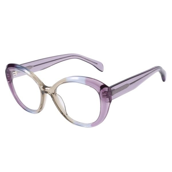 Acetate Optical Frame RGF23012 C3