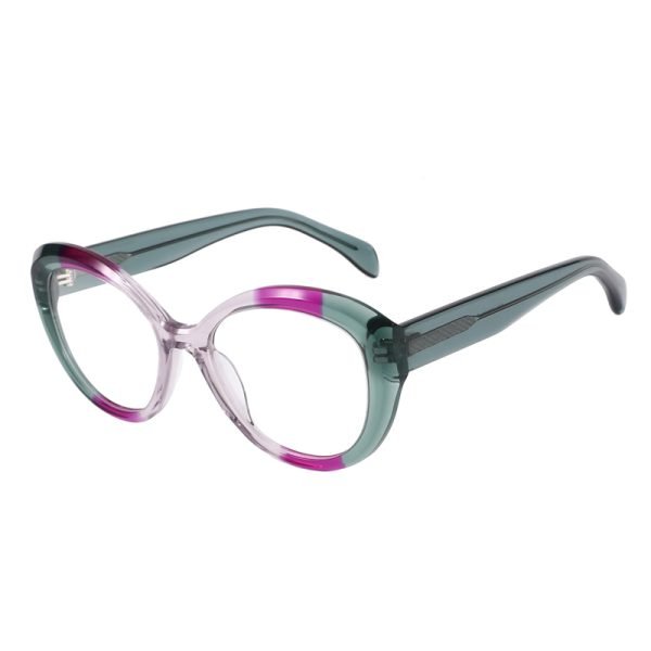 Acetate Optical Frame RGF23012 C4