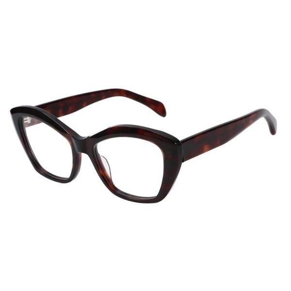 Acetate Optical Frame RGF23013 C2