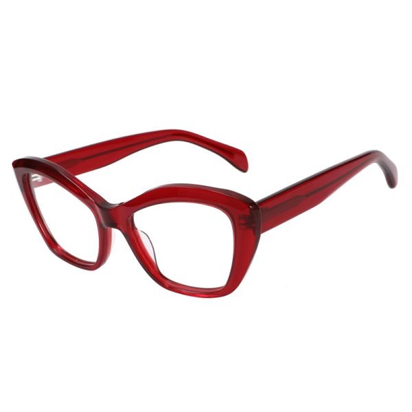 Acetate Optical Frame RGF23013 C3