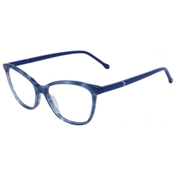 Acetate Optical Frame RGF90003 C2