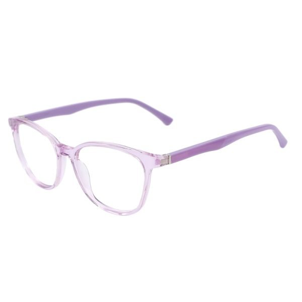 Acetate Optical Frame RGF90007 C2
