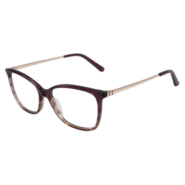 Acetate Optical Frame RGF90008 C2