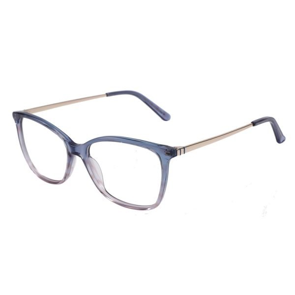 Acetate Optical Frame RGF90008 C3