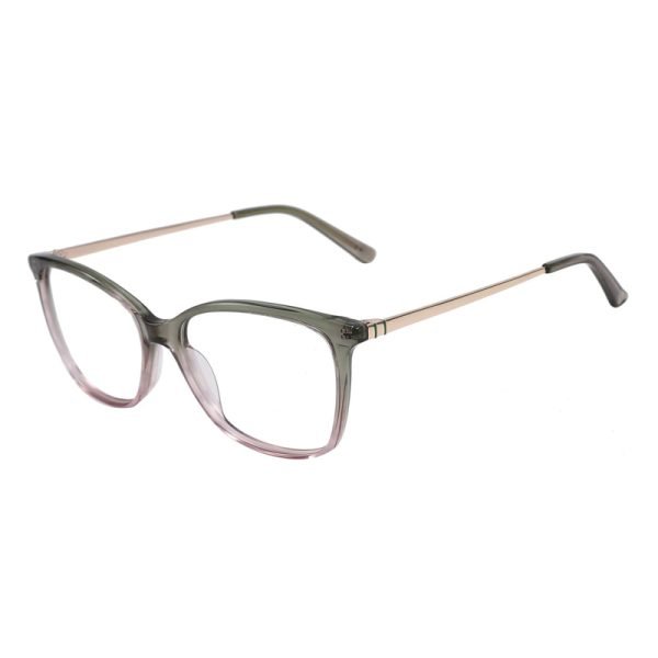 Acetate Optical Frame RGF90008 C4