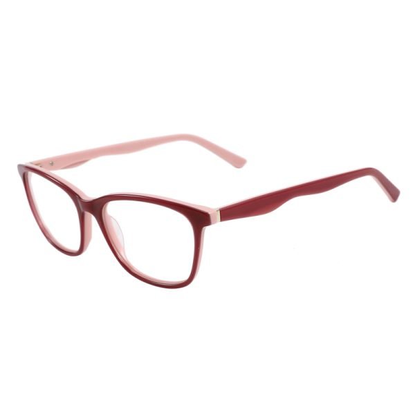Acetate Optical Frame RGF90011 C2