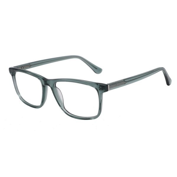 Acetate Optical Frame RGF90015 C2