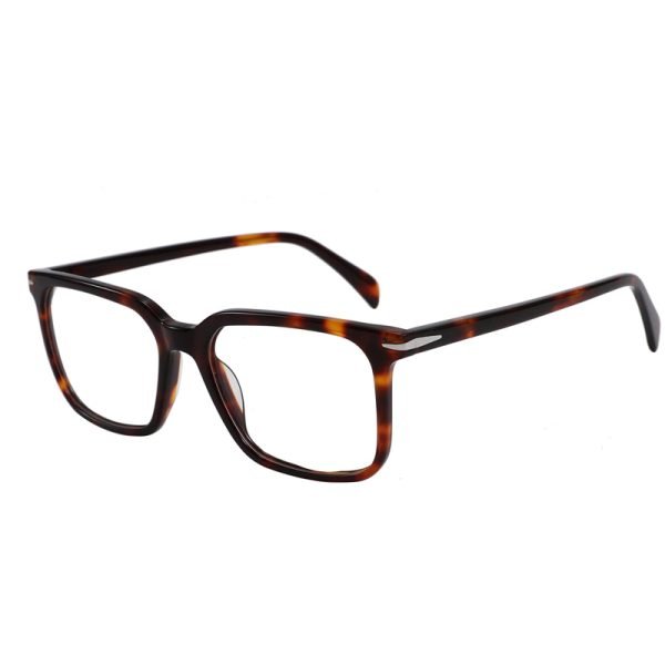 Acetate Optical Frame RGF90018 C4