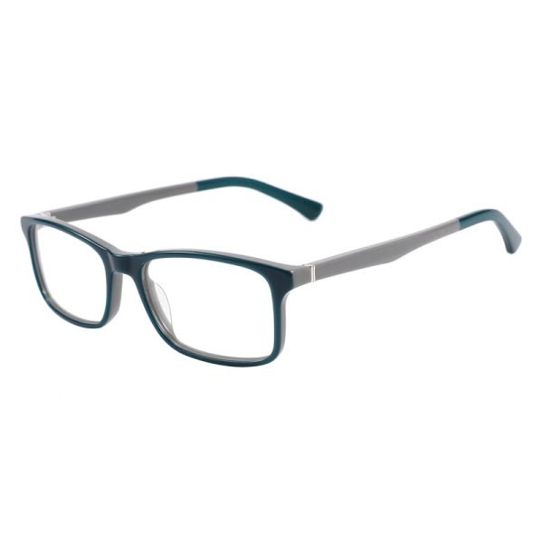 Acetate Optical Frame RGF90020 C2