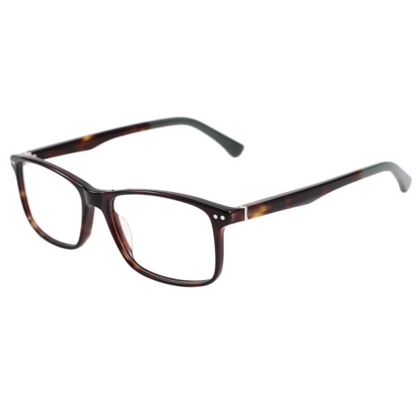 Acetate Optical Frame RGF90021 C2