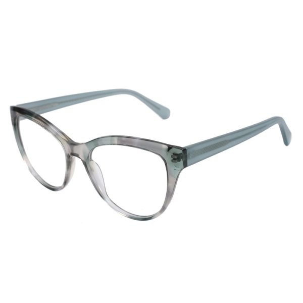 Acetate Optical Frame RGF90025 C4