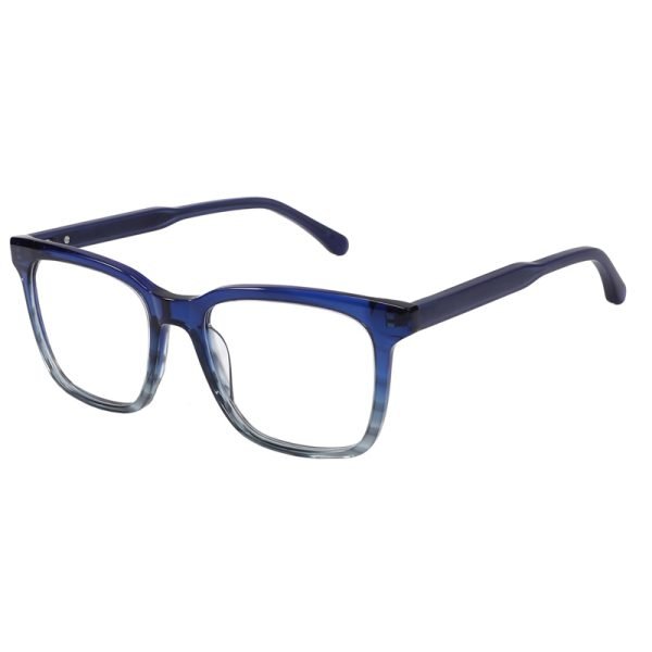 Acetate Optical Frame RGF90030 C4