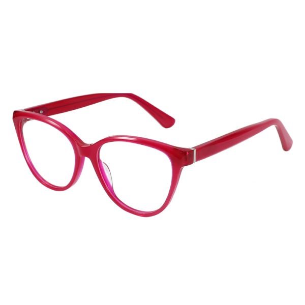 Acetate Optical Frame RGH23002 C3