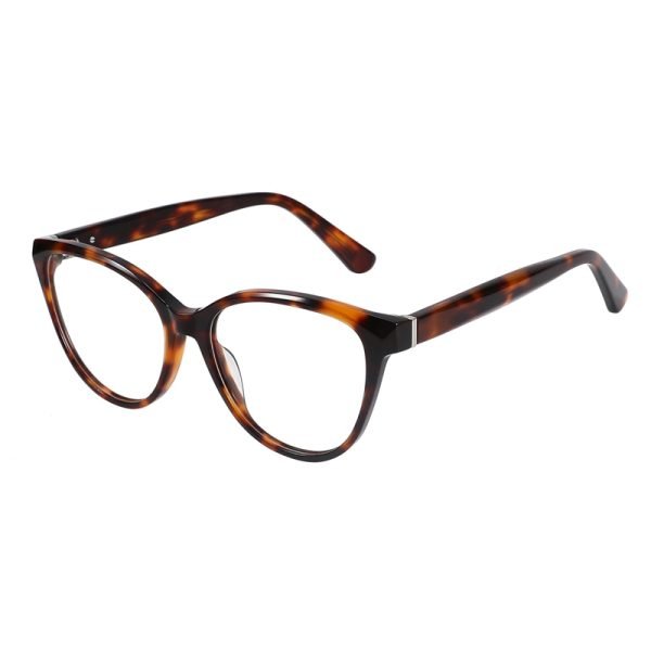 Acetate Optical Frame RGH23002 C4
