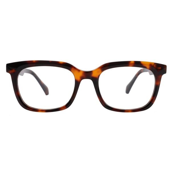 Acetate Optical Frame RGH23007