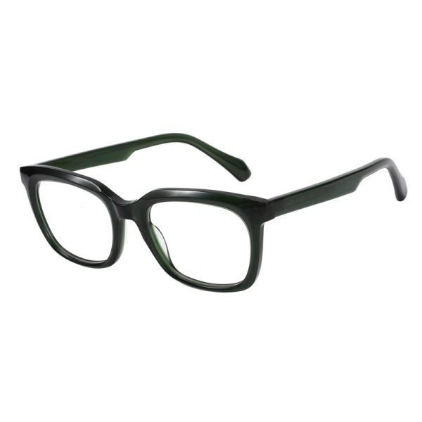 Acetate Optical Frame RGH23007 C2