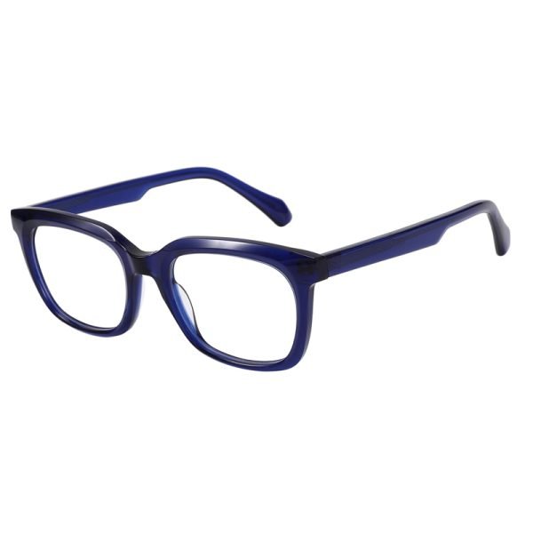 Acetate Optical Frame RGH23007 C3