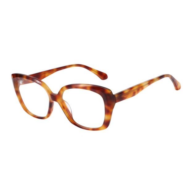 Acetate Optical Frame RGH23009 C4
