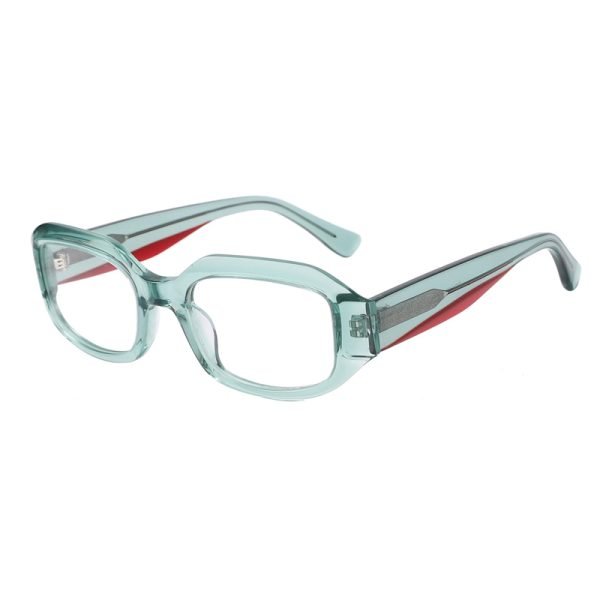 Acetate Optical Frame RGH23017 C2
